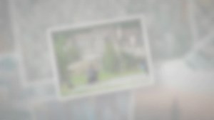 Bilderberg Group Meetings: An Elite Gathering