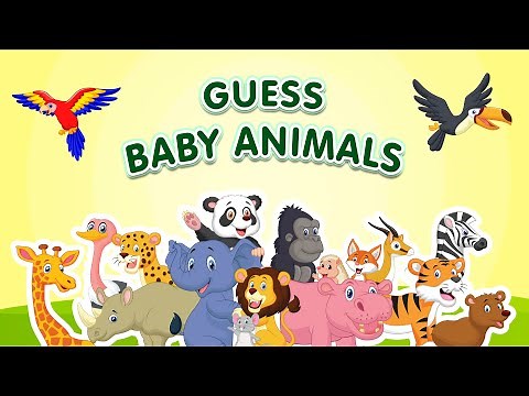 Guess Baby Animal Names | 30 Animals and their Babies