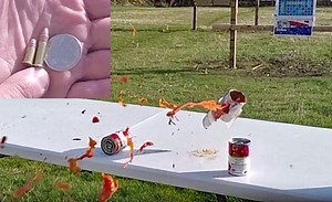 Watch: 22 LR Clothing Penetration & 22 Short vs Pellet Gun - AllOutdoor.com