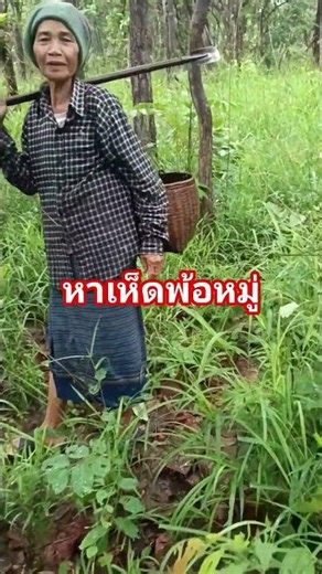 Finding Mushrooms in a Patch