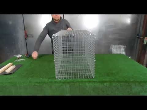 TrapMan Single Catch Larsen Trap