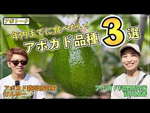 今年のうちに絶対に食べたいアボカドの品種３選！！！
