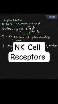 Detailed NK Cell Receptors | KIR, NKG2D & CD16 Explained | Biology Goal
