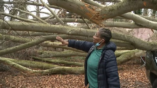Workers remove giant tree that laid on woman’s Atlanta home for weeks