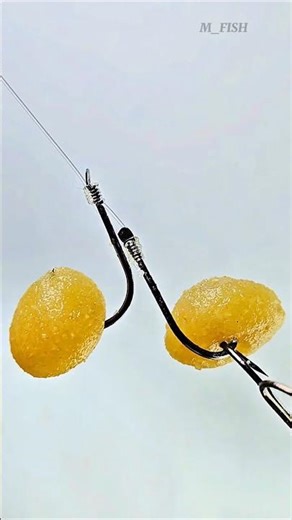 Double Bait Ball: Best Paste Rigging with Two Hooks #gtknot #satisfying #fish #fishing