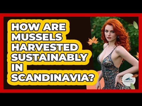 How Are Mussels Harvested Sustainably In Scandinavia?