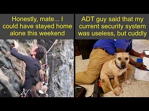 The Funniest Animal Memes To Brighten Your Day 🐾😂 | Humor Sweet