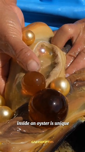 99% of pearls are not natural! 🤯