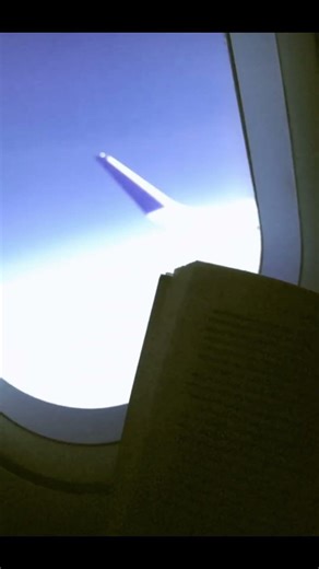 Plzzz viral 1m#trending #foryou #shortvideo #airport #igi #indigo #india #delhi #goviral