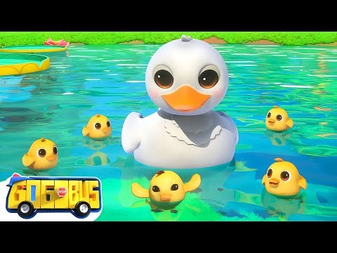 Cinco Patitos 🦆| Canciones Infantiles | GoGoBus en Español