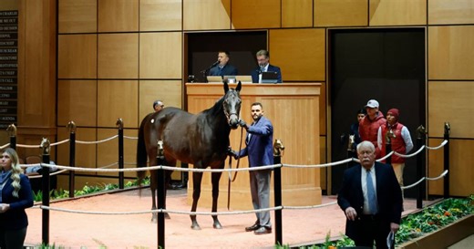 ¡De Kentucky a Japón! Ganadora de Grado 1 vendida por encima del millón de dólares