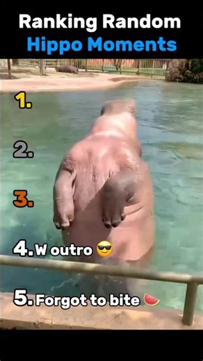 Ranking Random Hippo Moments