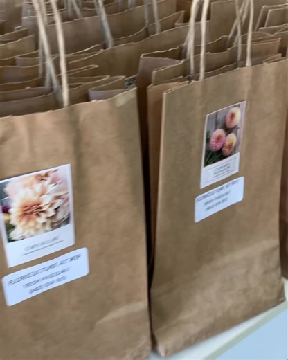 1.1K views | Dahlia Society of NSW & ACT on Reels | Facebook