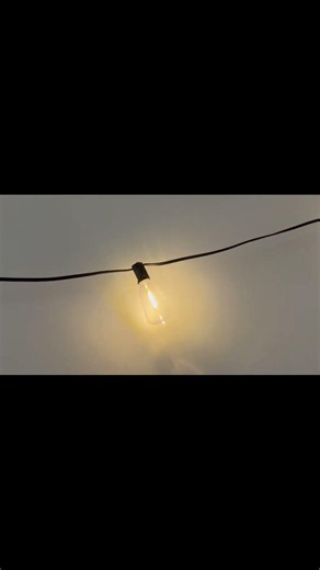 Beautiful String Lights With Multiple Settings | LaPitio