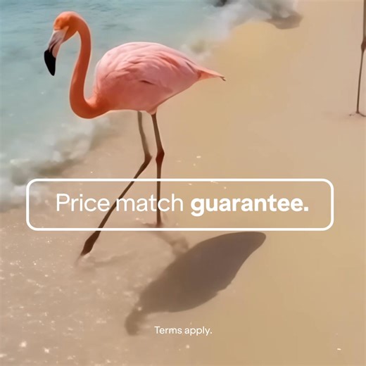 Earn while you vacation. ✈️ Book a JetBlue Vacations package and earn TrueBlue points + tiles toward Mosaic status. | JetBlue Vacations | Facebook