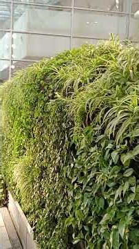 Metro Train Station Beautiful Under Ground Garden Qasar Al Hokam Riyadh #metrotrain#riyadh #ksa