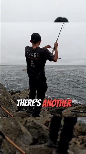 Killed The Rockfish In Half Moon Bay That Day #shorts