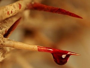 O Sangue de Jesus Tem Poder