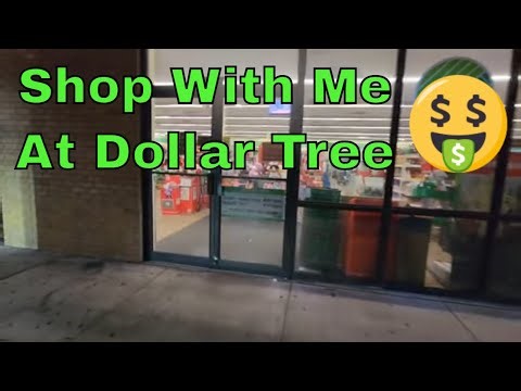 Shop With Me At Dollar Tree