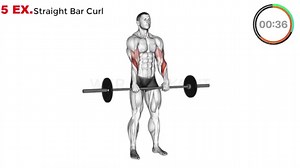 5 Effective Exercises For Build Big Biceps Biceps Workout #exercise #homeworkout #reelsvideo #reelsviral #fitness #workout #fit #gym #training #health #sport #muscle #bodybuilding Follow us for more Exercises and 📌 JOIN OUR GROUP FOR MORE GREAT Bodybuilding Tips ☺️ ⤵️ https://web.facebook.com/groups/209688632968880 | Gym Workout & Diet Plan