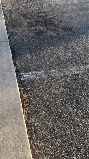 Celebrate Love this Valentine's Day with La Azabache