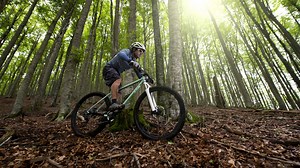 10 of the Best Mountain Bike Trails in Leeds