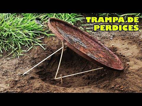 Trampa Para Perdices Automatica EFECTIVA - TUTORIAL - YMX supervivencia