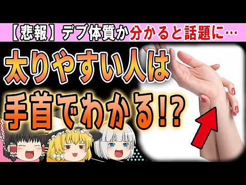 【デブ体質診断】当てはまったら太りやすい…一瞬で太りやすいか見分ける方法【ゆっくり解説】