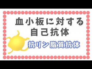 自己抗体： 抗リン脂質抗体出来るまで③