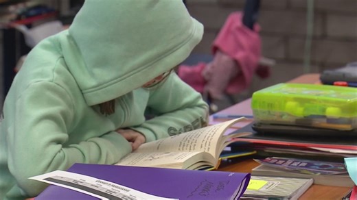 'It's definitely alarming' | Marion County ILEARN results raise concerns