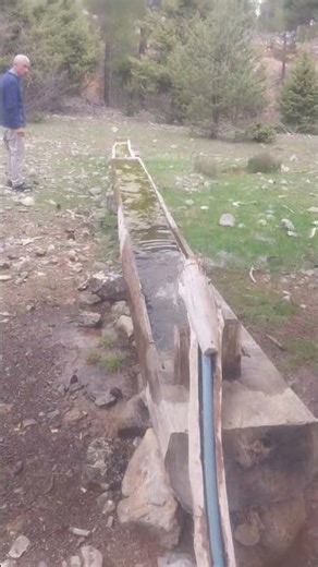 Toros dağları; doğa yürüyüşü ve mantar toplama deneyimi. Yayla sezonu açılmıştır.
