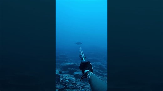 Trevallllllllly!! #trevally #spearfishing #freediving