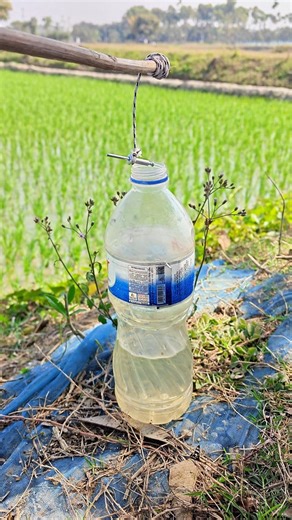 useful technique idea ✅💡 #shorts #lifehacks #tools #skills #viral