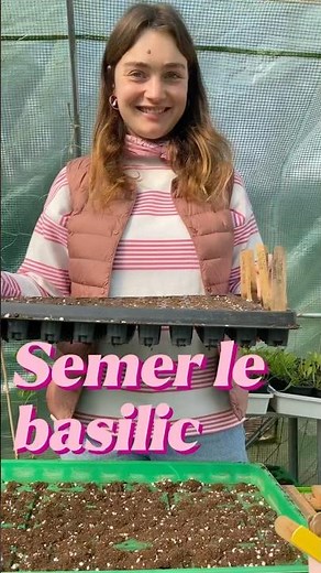 Comment réussir tes semis de basilic à coup sûr ! ✅ #semis #potager #plantesaromatiques #basilic