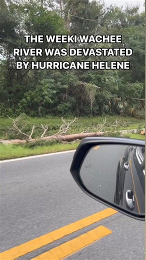 116K views · 633 reactions | DEVASTATING TO SAY THE LEAST  → What...