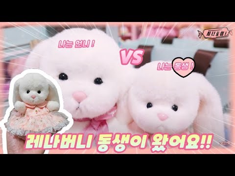 테디테일즈 레나베어 팝업 케어샵 체험하기❤️레나버니 키링 동생왔어요! 언니동생 비교하기영상