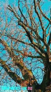 هوای دلپذیرشهرکراولی #انگلیس #طبیعت