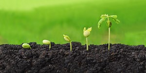 Outlook & Financial strategy