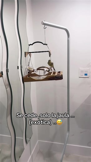 Jaula exótica para canarios: sólo se cede la jaula