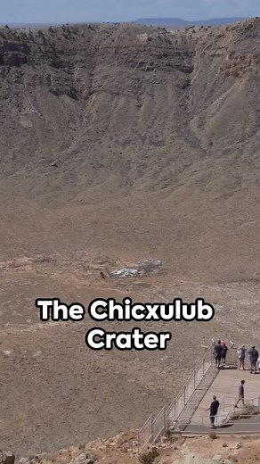 BrainBuzzer on TikTok