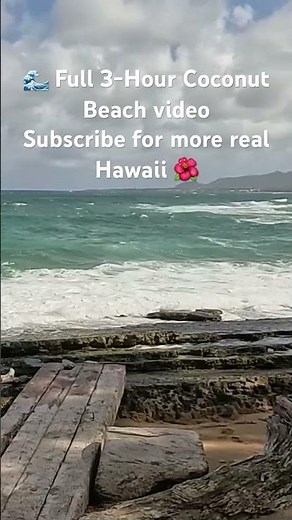 Coconut Beach, Kauai 🌊 Real Hawaii Ocean Waves