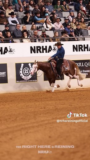 Exploring Reining: A Southern Tradition