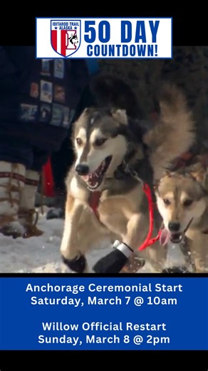 🚨🎉 ONLY 50 DAYS until the 2026 Iditarod Trail Sled Dog Race® Ceremonial Start! 🎉🚨 The countdown is officially on! Across Alaska, mushers and their incredible dog teams are deep in preparation—logging training miles, fine-tuning gear, and building the bond that carries them 1,000 miles up the historic Iditarod Trail. 🐾🏔️ Behind the scenes, race planning is in full swing. Trail crews are gearing up, checkpoints are coming together, volunteers are stepping up, and the dedicated teams that mak