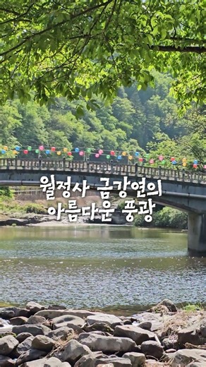 월정사 금강연의 아름다운 풍광 ㅣ 2026.5.15.(금) #월정사금강연 #자연명상 #오대산월정사 #오대산자연명상마을 #힐링스테이옴뷔