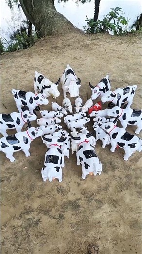 Many Cows in Reverse 🐄 | Satisfying Cow Reverse Video | Relaxing Animal Video