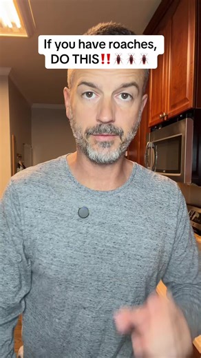 Here’s exactly what to do to get rid of roaches #pestcontrol #apartmenthacks #tiktokshopspringglowup #roachbait #roaches