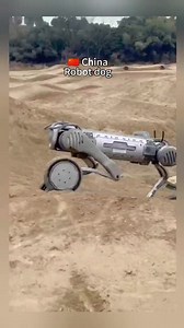 Meet the next-gen robo-dog from China—flips, rolls, and wheels its way into the future! #TechInnovation #Robotics #FutureIsHere #ChinaTech #nevergiveup #Amazing #China #travel #pov | Edward Drama