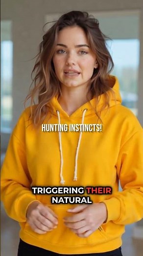 Why Do Cats Chase Laser Pointers?