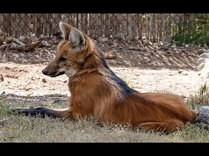 The 4 Types Of Love...Agape, Storge, Eros & Philia, John 15:13