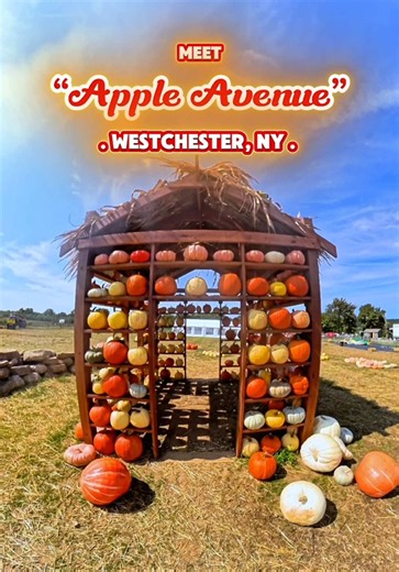 Apple Avenue orchards in Westchester NY: Outhouse, Harvest Moon, Salingers
